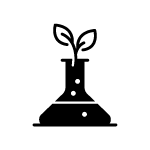 Default Image Alt Text